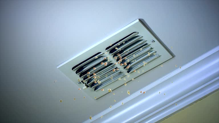 Best Best Air Duct Cleaning Company  in Yazoo City, MS